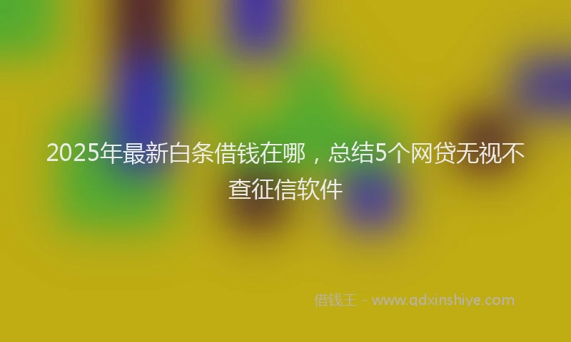 2025年最新白条借钱在哪，总结5个网贷无视不查征信软件
