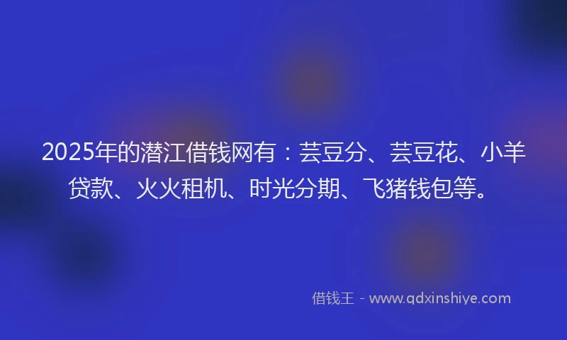 2025年的潜江借钱网有：芸豆分、芸豆花、小羊贷款、火火租机、时光分期、飞猪钱包等。