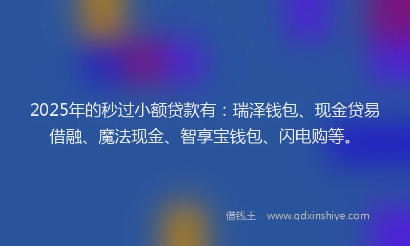 2025年的秒过小额贷款有：瑞泽钱包、现金贷易借融、魔法现金、智享宝钱包、闪电购等。