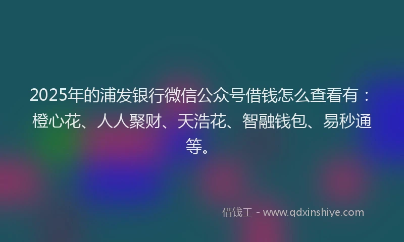 2025年的浦发银行微信公众号借钱怎么查看有：橙心花、人人聚财、天浩花、智融钱包、易秒通等。