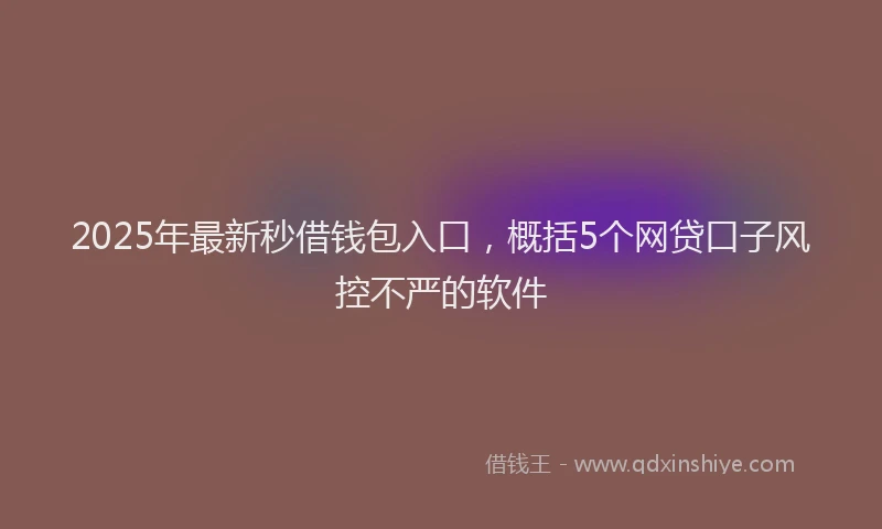 2025年最新秒借钱包入口，概括5个网贷口子风控不严的软件