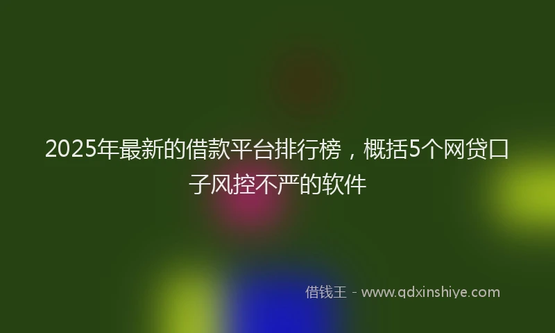 2025年最新的借款平台排行榜，概括5个网贷口子风控不严的软件