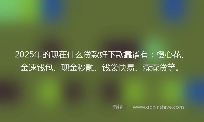 2025年的现在什么贷款好下款靠谱有：橙心花、金速钱包、现金秒融、钱袋快易、森森贷等。