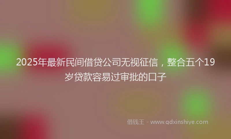 2025年最新民间借贷公司无视征信，整合五个19岁贷款容易过审批的口子