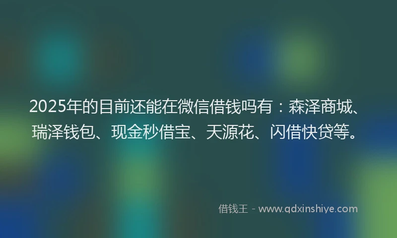 2025年的目前还能在微信借钱吗有：森泽商城、瑞泽钱包、现金秒借宝、天源花、闪借快贷等。