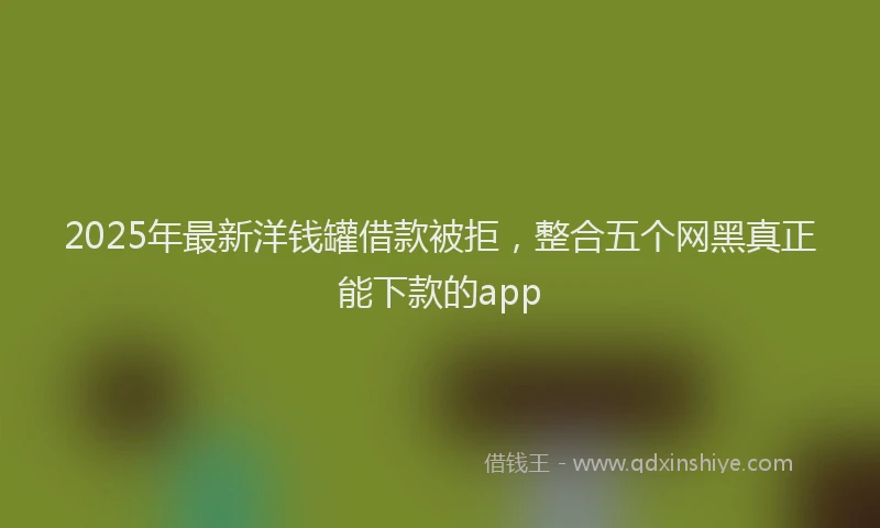 2025年最新洋钱罐借款被拒，整合五个网黑真正能下款的app
