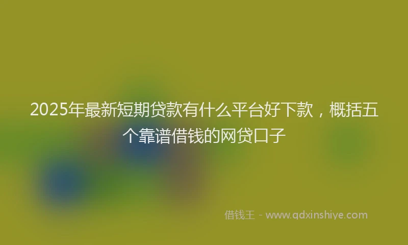 2025年最新短期贷款有什么平台好下款，概括五个靠谱借钱的网贷口子