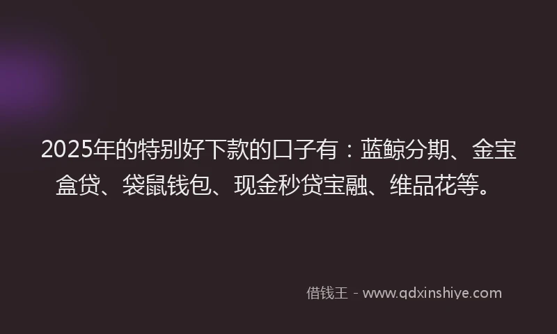 2025年的特别好下款的口子有：蓝鲸分期、金宝盒贷、袋鼠钱包、现金秒贷宝融、维品花等。