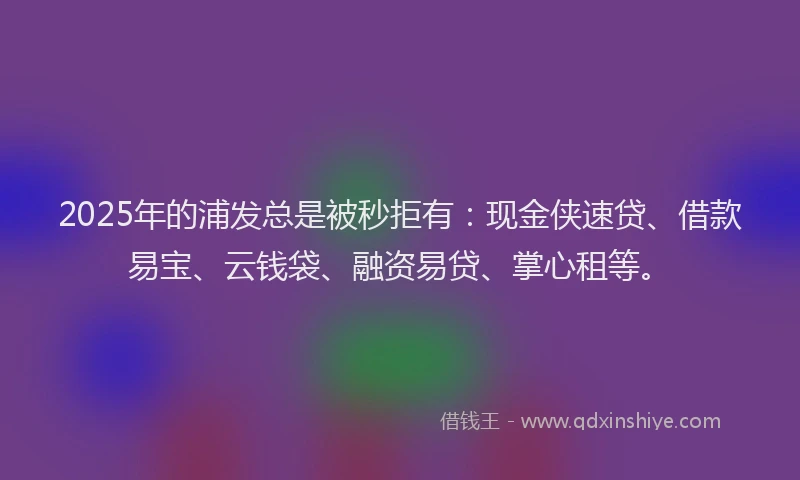 2025年的浦发总是被秒拒有：现金侠速贷、借款易宝、云钱袋、融资易贷、掌心租等。