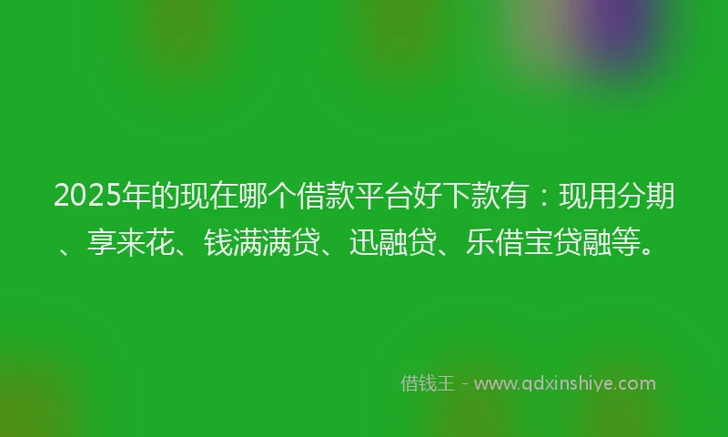2025年的现在哪个借款平台好下款有：现用分期、享来花、钱满满贷、迅融贷、乐借宝贷融等。
