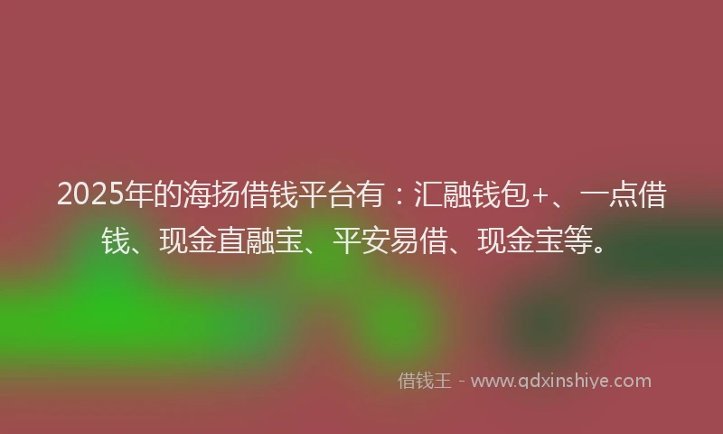 2025年的海扬借钱平台有：汇融钱包+、一点借钱、现金直融宝、平安易借、现金宝等。