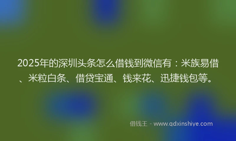 2025年的深圳头条怎么借钱到微信有：米族易借、米粒白条、借贷宝通、钱来花、迅捷钱包等。