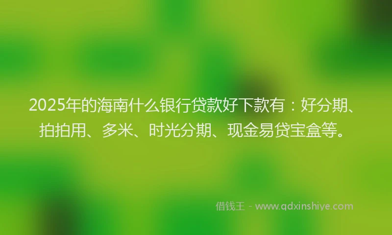 2025年的海南什么银行贷款好下款有：好分期、拍拍用、多米、时光分期、现金易贷宝盒等。