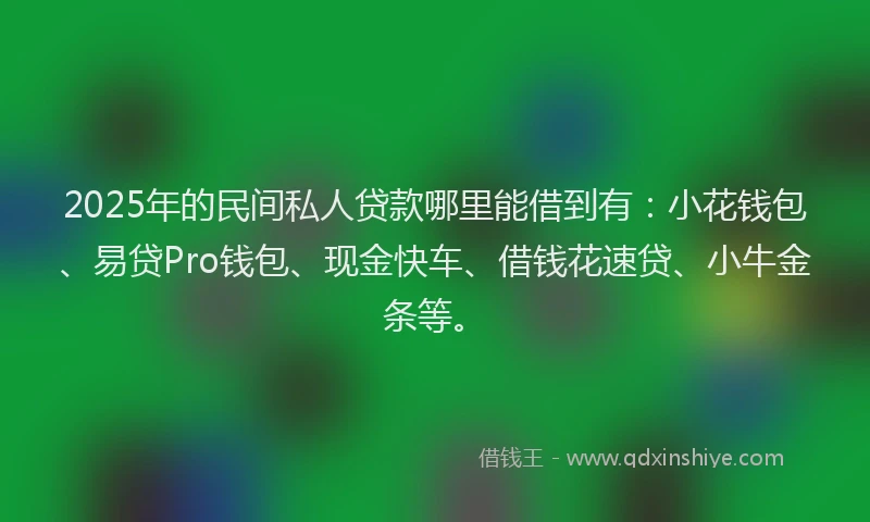 2025年的民间私人贷款哪里能借到有：小花钱包、易贷Pro钱包、现金快车、借钱花速贷、小牛金条等。