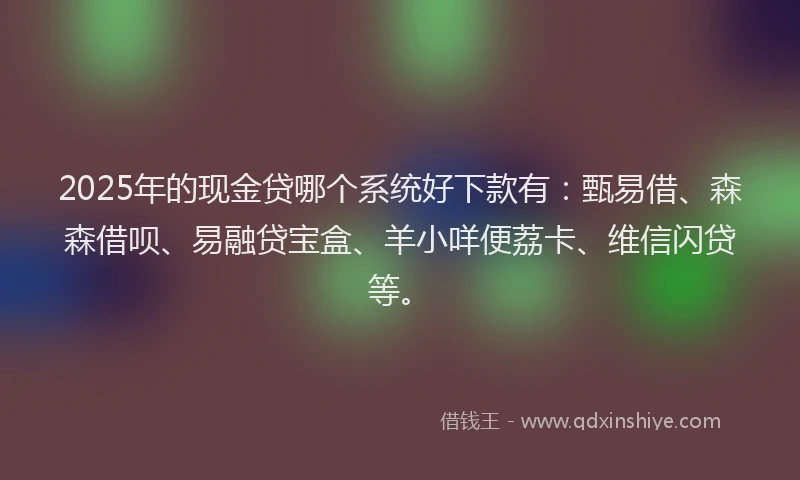 2025年的现金贷哪个系统好下款有：甄易借、森森借呗、易融贷宝盒、羊小咩便荔卡、维信闪贷等。
