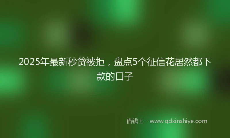 2025年最新秒贷被拒，盘点5个征信花居然都下款的口子
