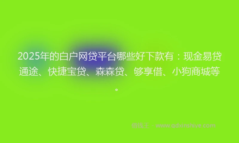 2025年的白户网贷平台哪些好下款有：现金易贷通途、快捷宝贷、森森贷、够享借、小狗商城等。