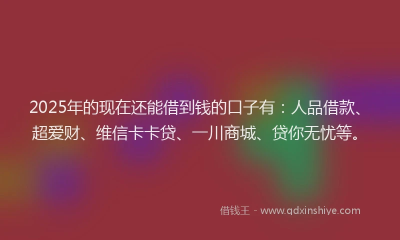2025年的现在还能借到钱的口子有：人品借款、超爱财、维信卡卡贷、一川商城、贷你无忧等。