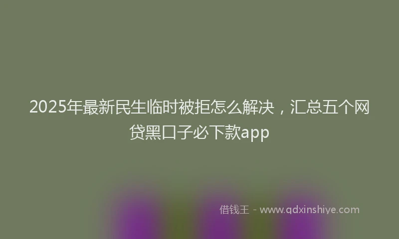 2025年最新民生临时被拒怎么解决，汇总五个网贷黑口子必下款app