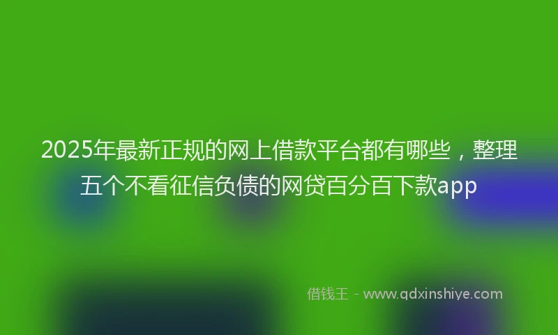 2025年最新正规的网上借款平台都有哪些，整理五个不看征信负债的网贷百分百下款app
