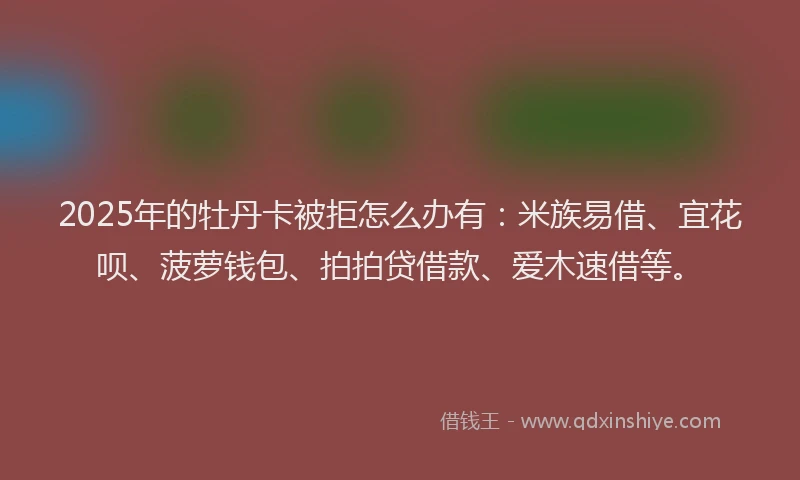 2025年的牡丹卡被拒怎么办有：米族易借、宜花呗、菠萝钱包、拍拍贷借款、爱木速借等。