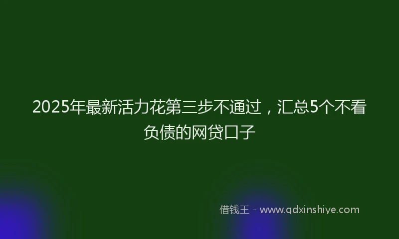 2025年最新活力花第三步不通过，汇总5个不看负债的网贷口子
