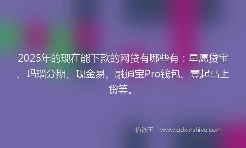 2025年的现在能下款的网贷有哪些有：星愿贷宝、玛瑙分期、现金易、融通宝Pro钱包、壹起马上贷等。