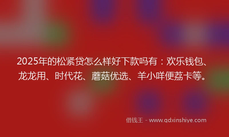 2025年的松紧贷怎么样好下款吗有：欢乐钱包、龙龙用、时代花、蘑菇优选、羊小咩便荔卡等。