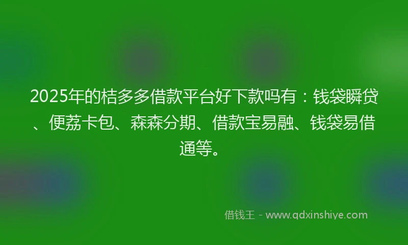2025年的桔多多借款平台好下款吗有：钱袋瞬贷、便荔卡包、森森分期、借款宝易融、钱袋易借通等。
