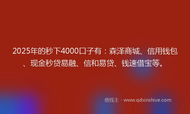 2025年的秒下4000口子有：森泽商城、信用钱包、现金秒贷易融、信和易贷、钱速借宝等。