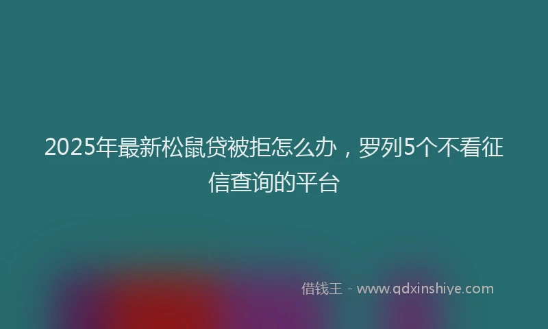 2025年最新松鼠贷被拒怎么办，罗列5个不看征信查询的平台