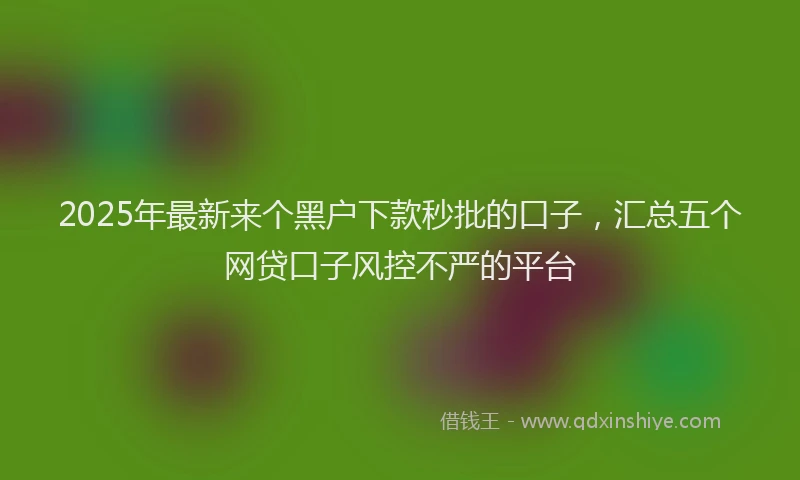 2025年最新来个黑户下款秒批的口子，汇总五个网贷口子风控不严的平台