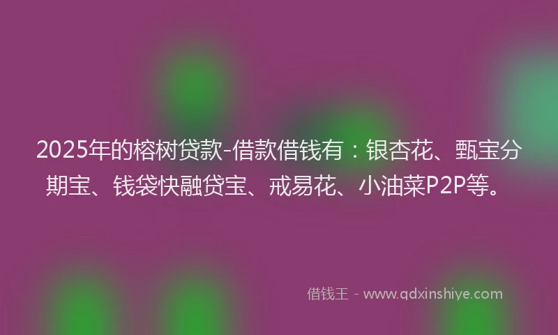 2025年的榕树贷款-借款借钱有：银杏花、甄宝分期宝、钱袋快融贷宝、戒易花、小油菜P2P等。