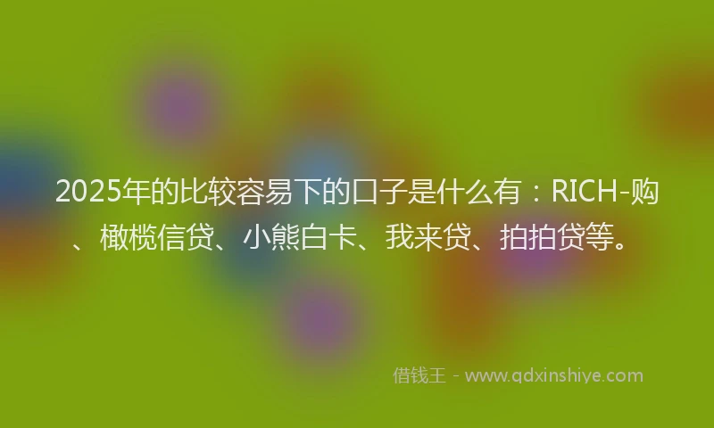 2025年的比较容易下的口子是什么有：RICH-购、橄榄信贷、小熊白卡、我来贷、拍拍贷等。