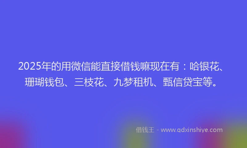 2025年的用微信能直接借钱嘛现在有：哈银花、珊瑚钱包、三枝花、九梦租机、甄信贷宝等。