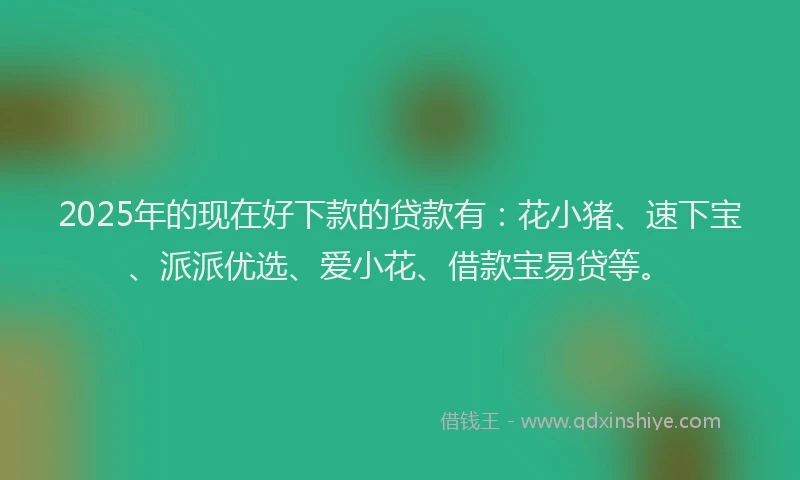 2025年的现在好下款的贷款有：花小猪、速下宝、派派优选、爱小花、借款宝易贷等。