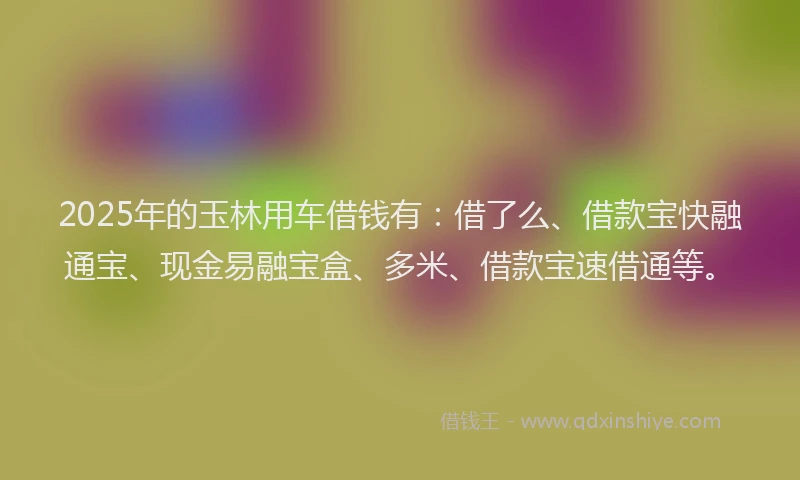 2025年的玉林用车借钱有：借了么、借款宝快融通宝、现金易融宝盒、多米、借款宝速借通等。