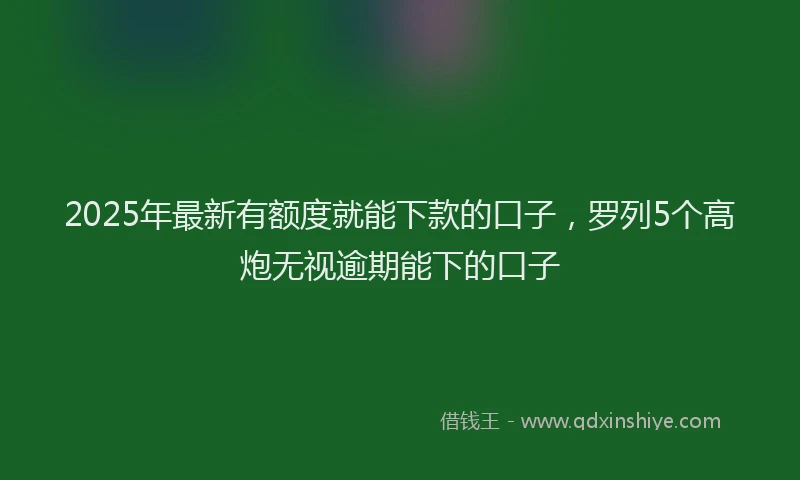 2025年最新有额度就能下款的口子，罗列5个高炮无视逾期能下的口子