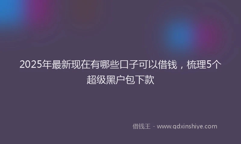2025年最新现在有哪些口子可以借钱，梳理5个超级黑户包下款