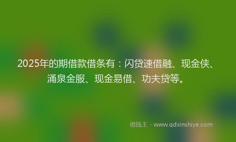 2025年的期借款借条有：闪贷速借融、现金侠、涌泉金服、现金易借、功夫贷等。