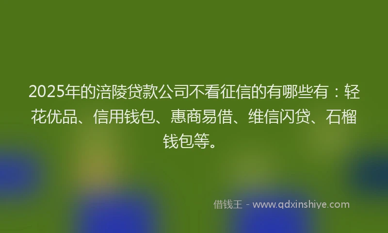2025年的涪陵贷款公司不看征信的有哪些有：轻花优品、信用钱包、惠商易借、维信闪贷、石榴钱包等。
