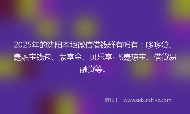 2025年的沈阳本地微信借钱群有吗有：哆哆贷、鑫融宝钱包、蒙享金、贝乐享-飞鑫琼宝、借贷易融贷等。