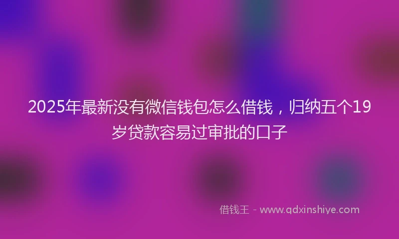 2025年最新没有微信钱包怎么借钱，归纳五个19岁贷款容易过审批的口子