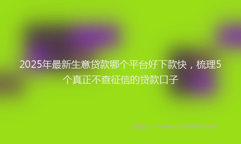 2025年最新生意贷款哪个平台好下款快，梳理5个真正不查征信的贷款口子