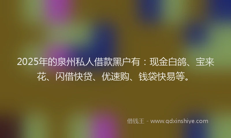 2025年的泉州私人借款黑户有：现金白鸽、宝来花、闪借快贷、优速购、钱袋快易等。