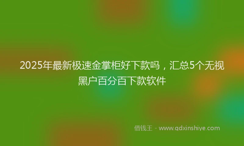 2025年最新极速金掌柜好下款吗，汇总5个无视黑户百分百下款软件