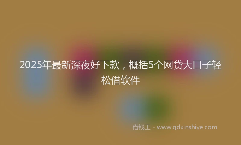 2025年最新深夜好下款，概括5个网贷大口子轻松借软件