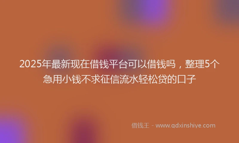 2025年最新现在借钱平台可以借钱吗，整理5个急用小钱不求征信流水轻松贷的口子