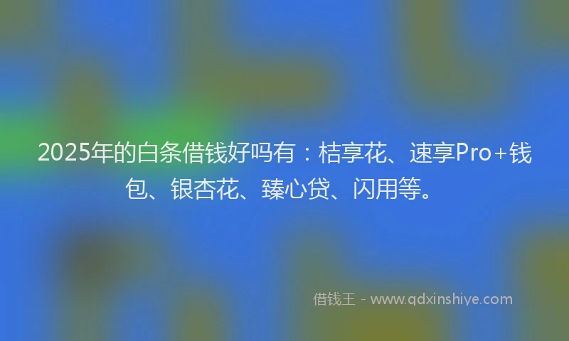 2025年的白条借钱好吗有：桔享花、速享Pro+钱包、银杏花、臻心贷、闪用等。