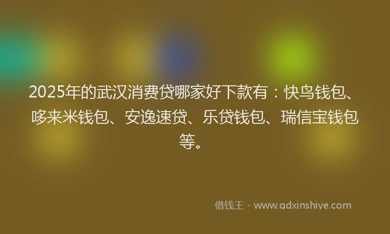 2025年的武汉消费贷哪家好下款有：快鸟钱包、哆来米钱包、安逸速贷、乐贷钱包、瑞信宝钱包等。